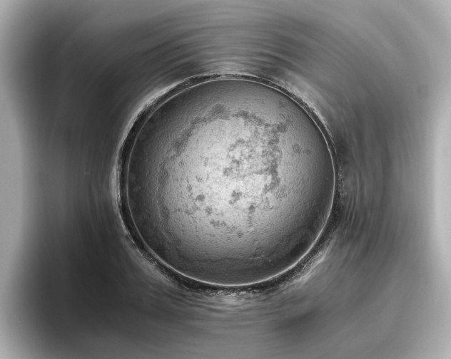 X0000096640987200802051124