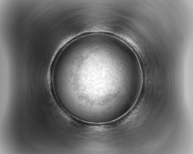 X0000096640990200802051124