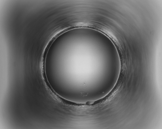 X0000096640992200802051124
