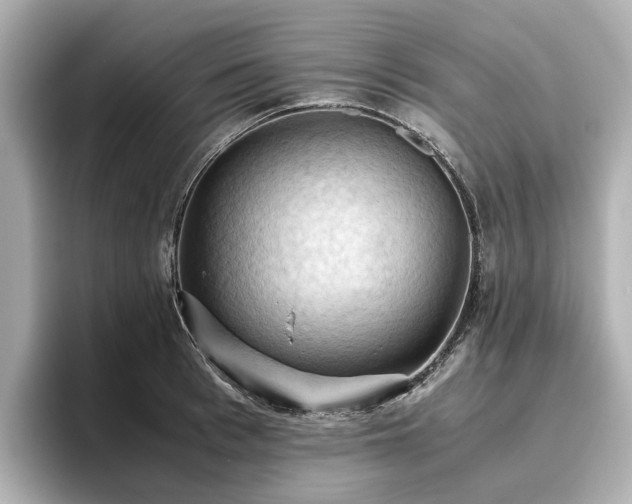 X0000096640993200802051124
