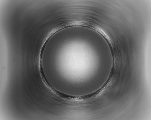 X0000096640994200802051124