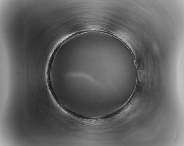 X0000096640995200802051124