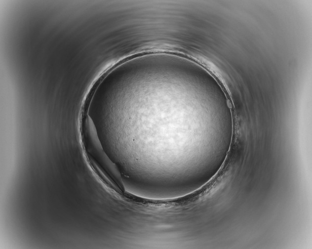 X0000096640997200802051124