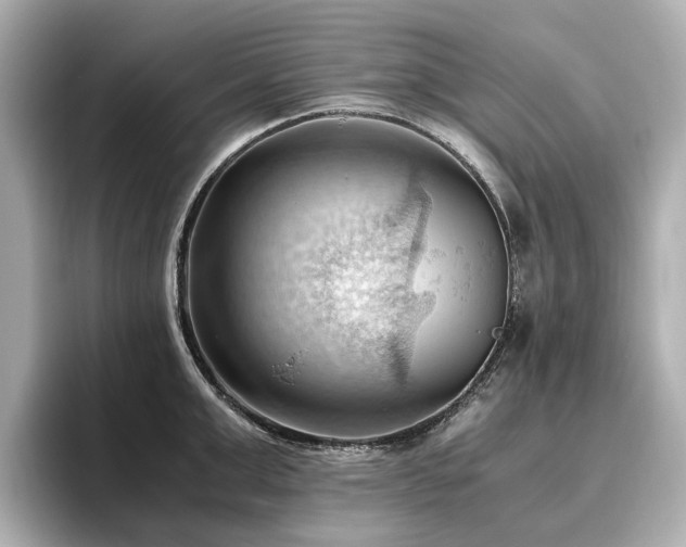 X0000096640999200802051124