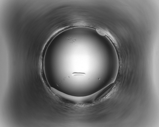 X0000096641000200802051124