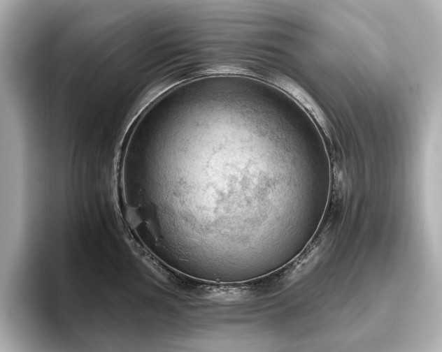 X0000096641002200802051124