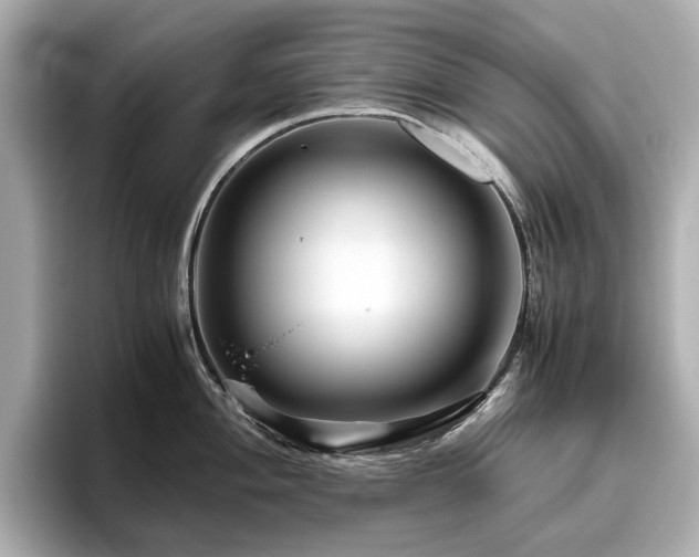 X0000096641004200802051124