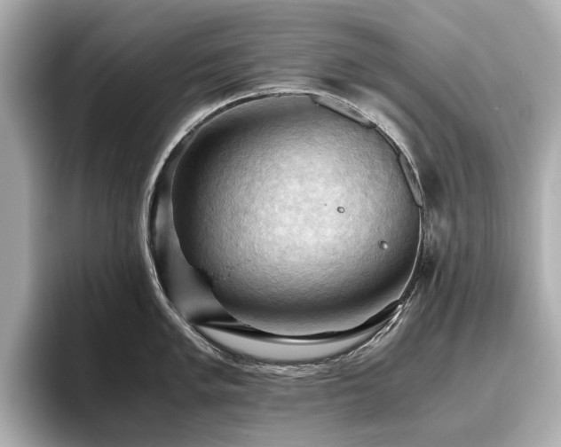 X0000096641005200802051124