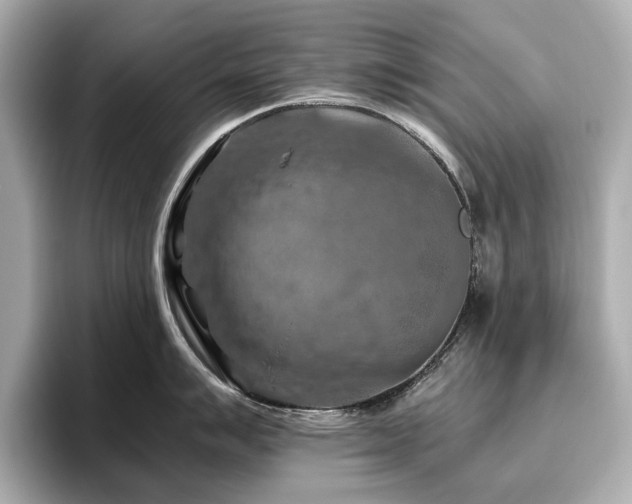 X0000096641007200802051124