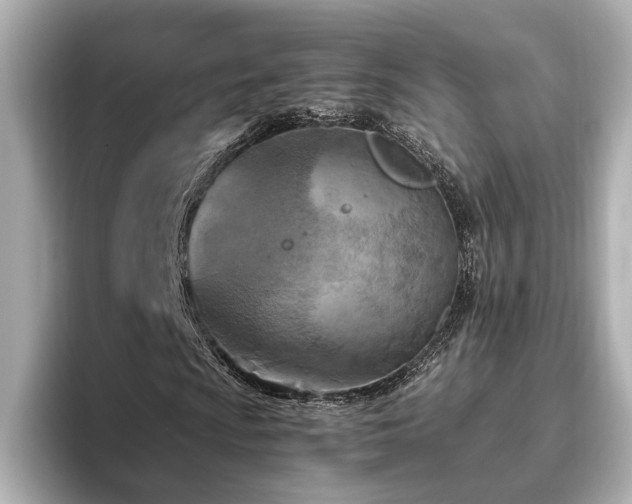 X0000096641009200802051123