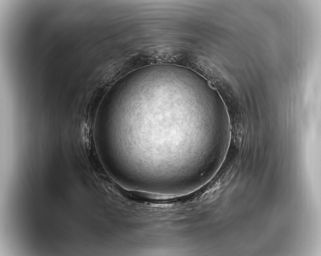 X0000096641010200802051123