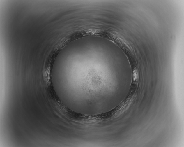X0000096641011200802051123