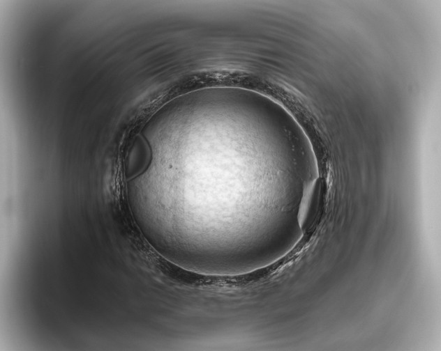 X0000096641014200802051123