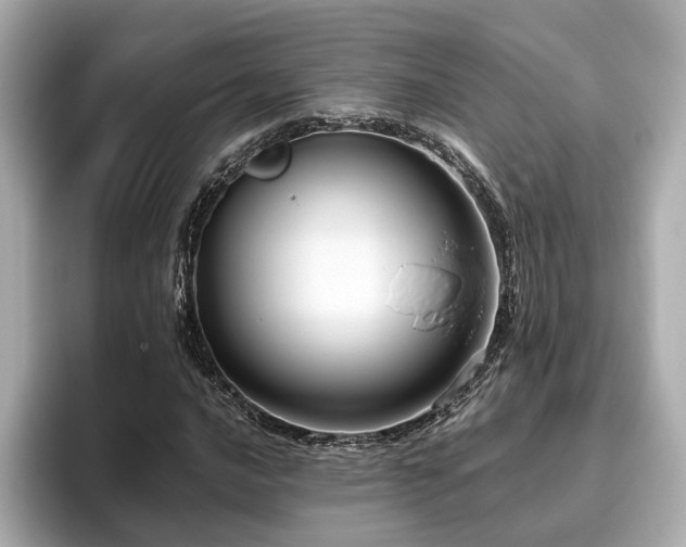 X0000096641016200802051123