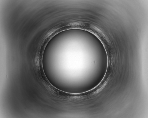 X0000096641017200802051123
