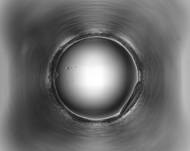 X0000096641018200802051124