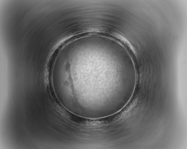 X0000096641019200802051124