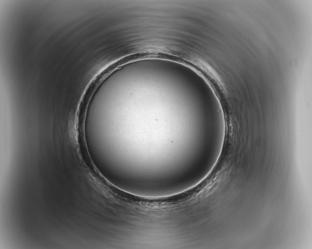 X0000096641020200802051124