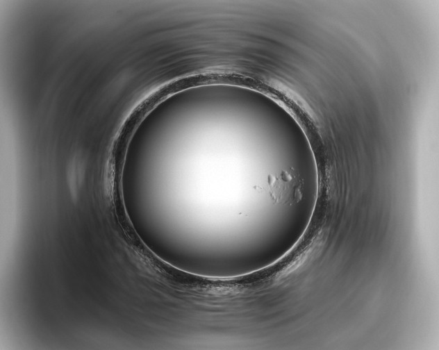 X0000096641021200802051124