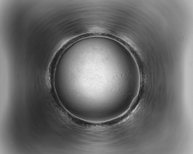 X0000096641022200802051124