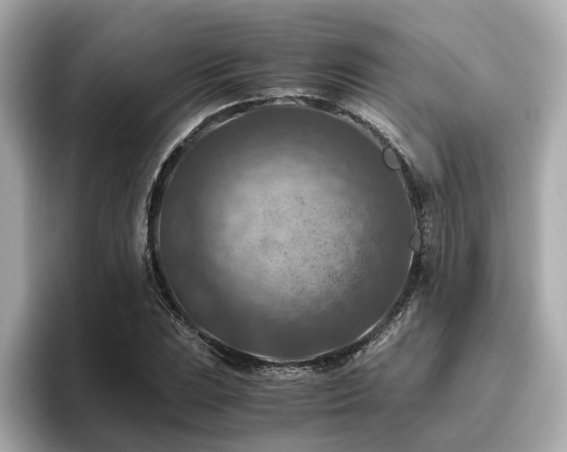 X0000096641023200802051124