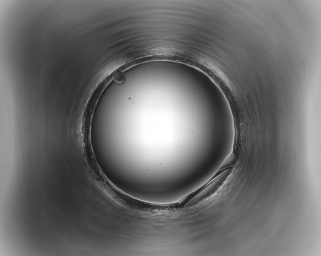 X0000096641026200802051124