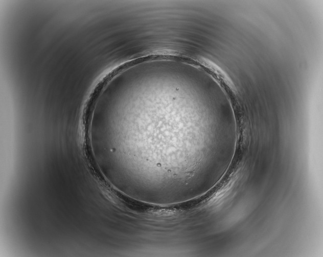 X0000096641027200802051124