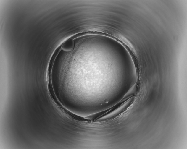 X0000096641028200802051124