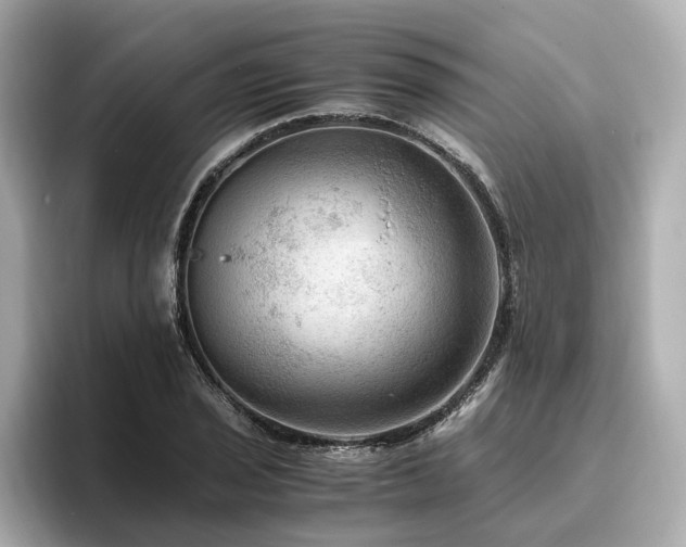 X0000096641029200802051124