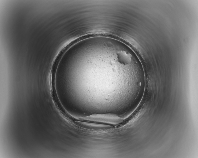 X0000096641030200802051124