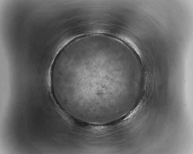 X0000096641031200802051124
