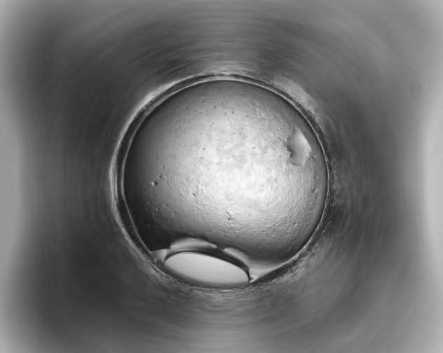X0000096641032200802051124