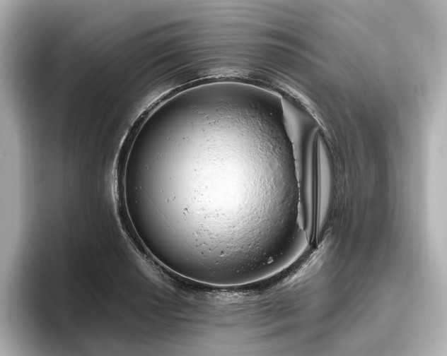 X0000096641034200802051124