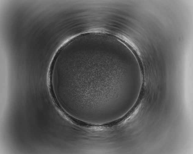 X0000096641037200802051124