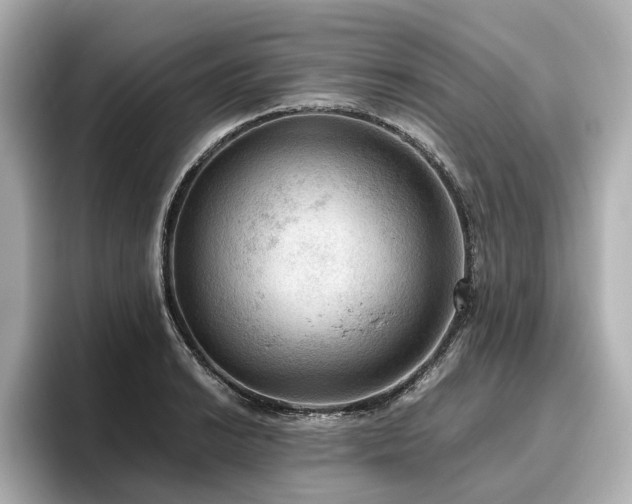 X0000096641038200802051124