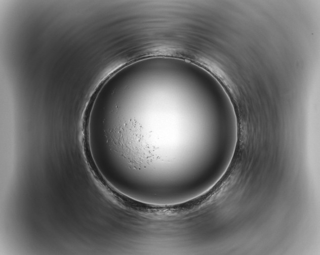 X0000096641042200802051124