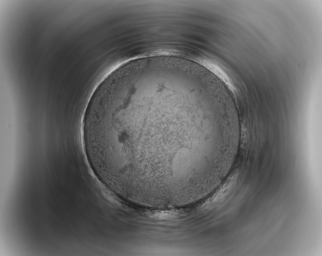 X0000096641047200802051124