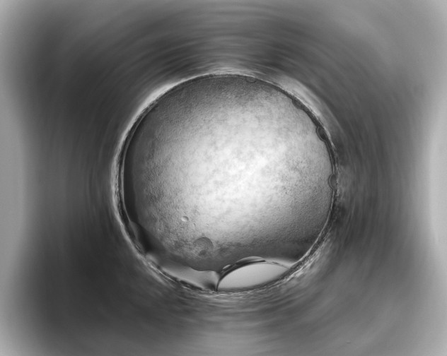 X0000096641048200802051124