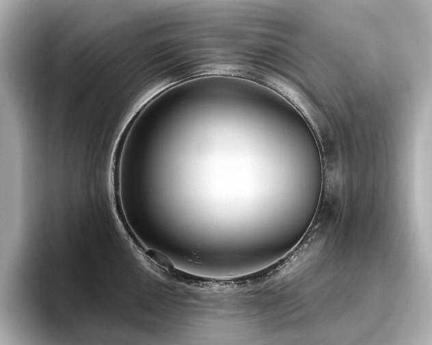 X0000096641050200802051124