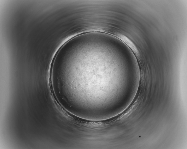 X0000096641052200802051124