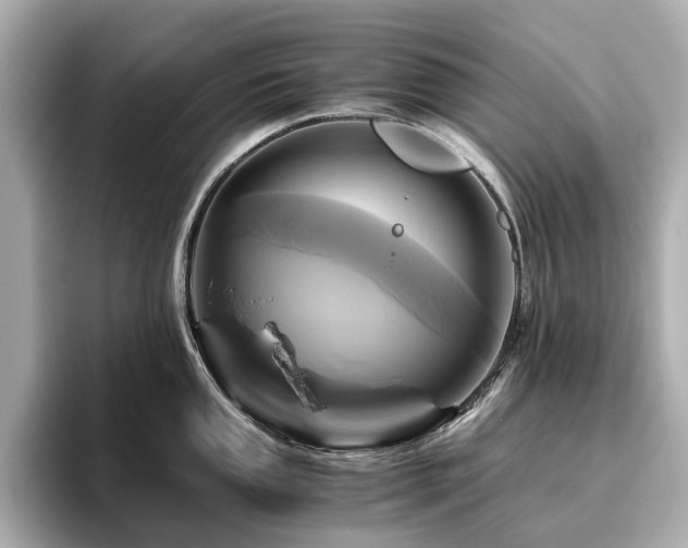 X0000096641053200802051124