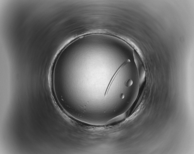 X0000096641054200802051124