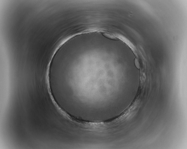 X0000096641055200802051124