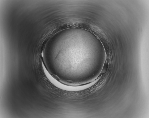 X0000096641060200802051123
