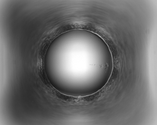X0000096641061200802051123