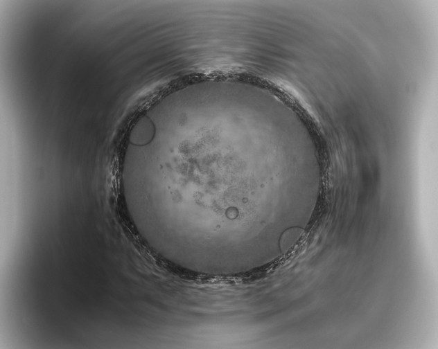 X0000096641063200802051123