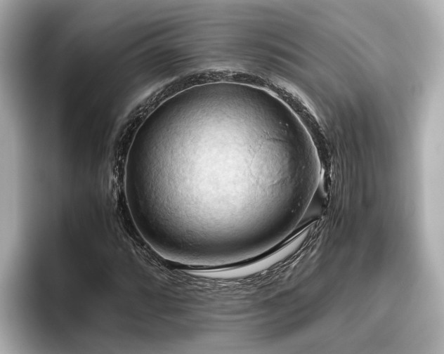 X0000096641064200802051123