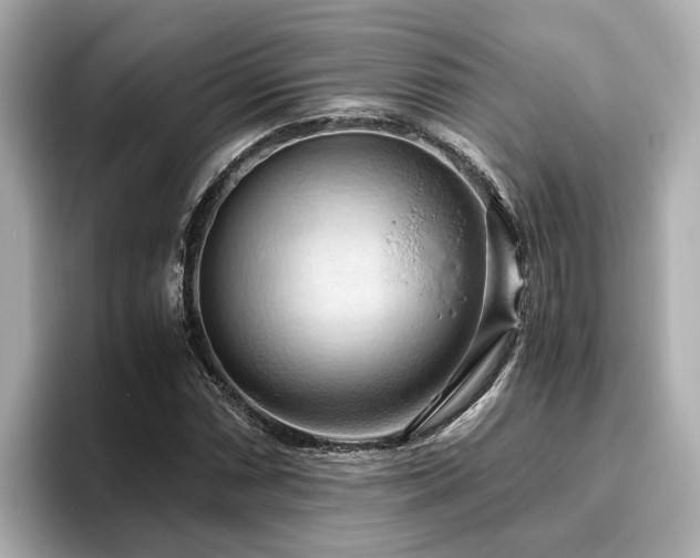 X0000096641066200802051123