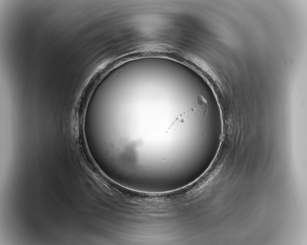 X0000096641067200802051123