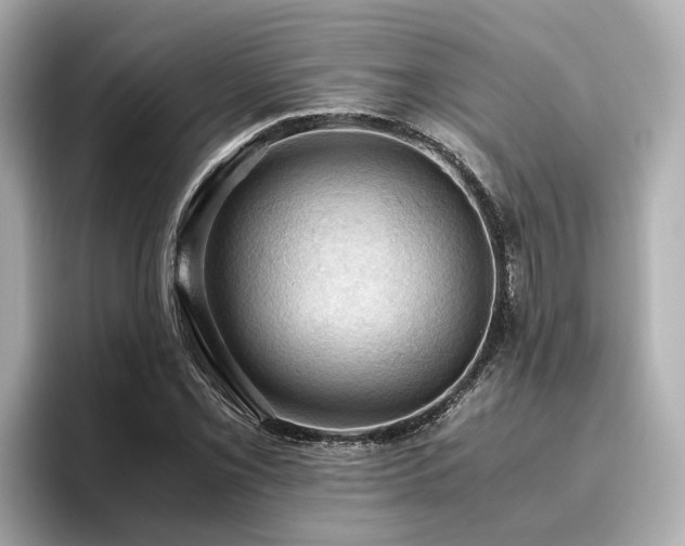 X0000096641069200802051123